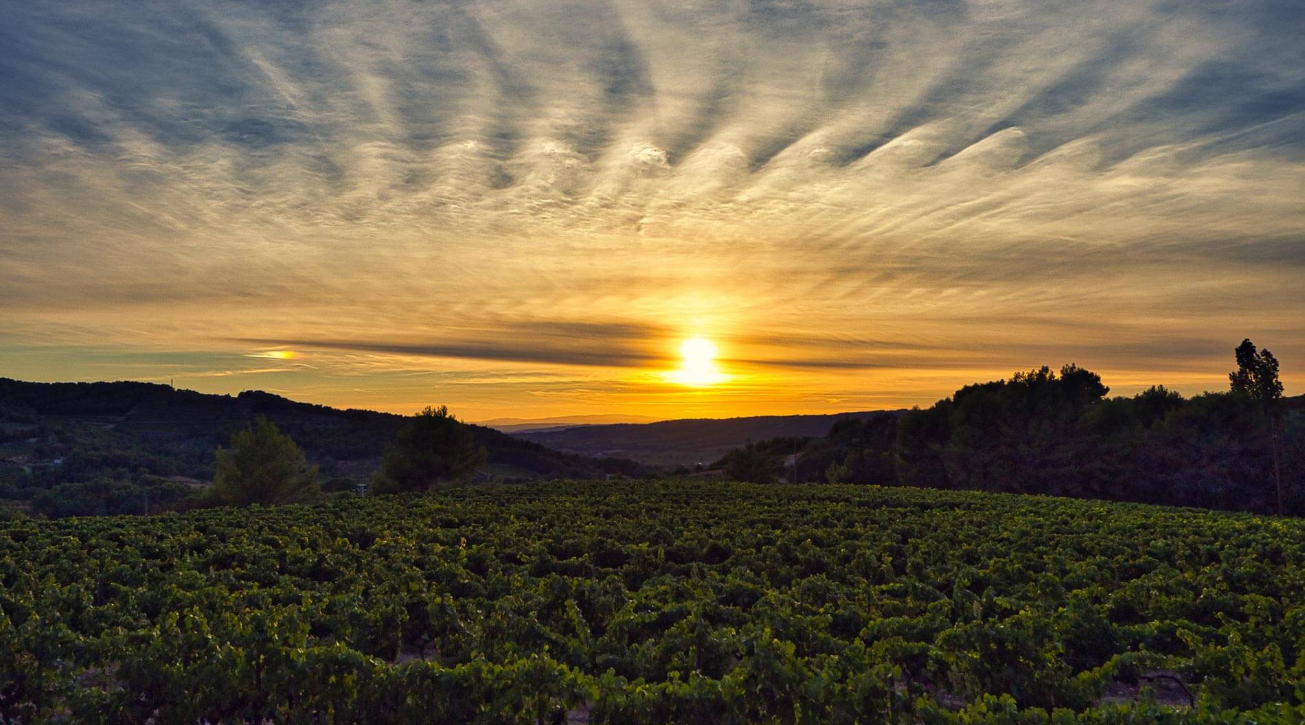 baronnies provencales