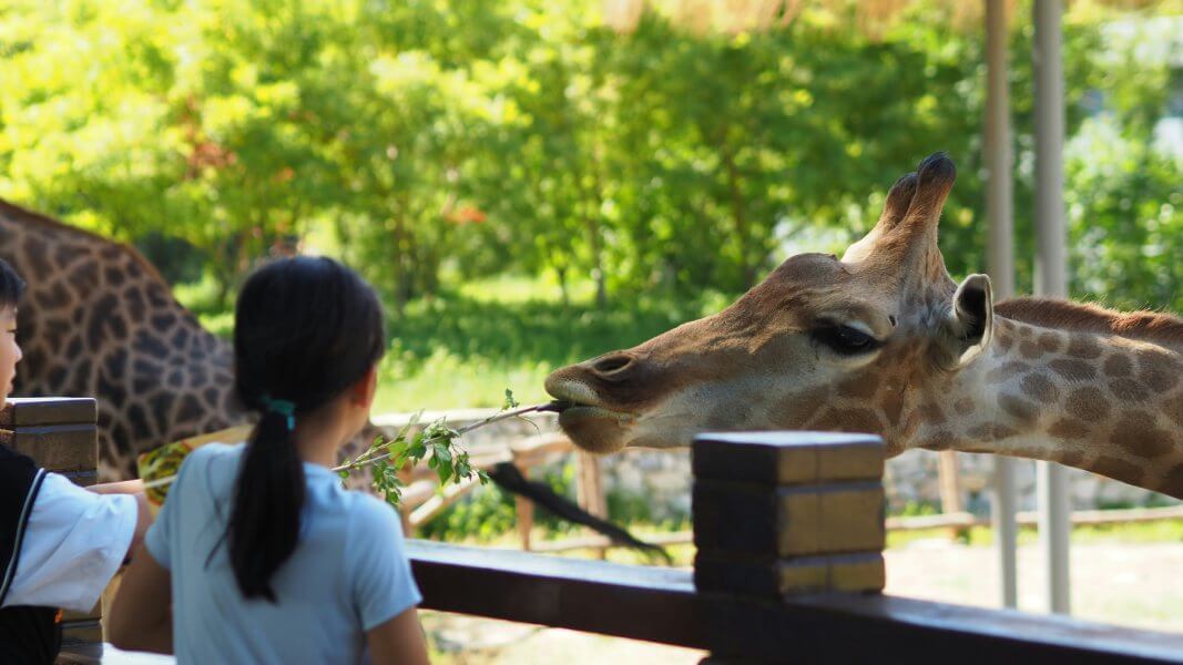 Partez à la découverte des parcs animaliers de la Drôme