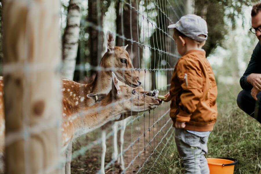 Découvrez les parcs animaliers de la Drôme